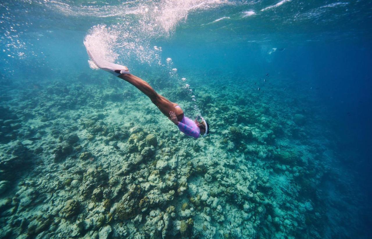 The Standard, Huruvalhi Maldives (Adults Only) Meedhoo  Ngoại thất bức ảnh Free diving